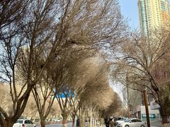 -民杨抓饭(柏香苑店)