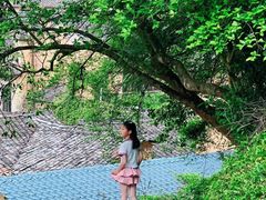 -杨家堂村