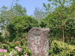 -洛阳市牡丹公园