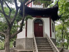 -上海佘山国家森林公园天马山园