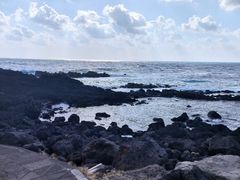 -涉地可支