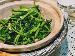 虾酱空心菜-熠盛·本帮菜Bistro(永嘉路店)