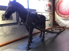 -吉林市博物馆