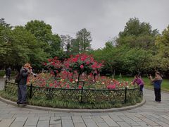 -堤角公园