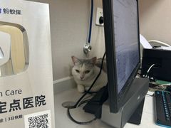 -瑞鹏宠物医院·骨外科·心肾科·肿瘤科(九亭店)