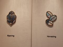 -星巴克(长沙麓南广场店)