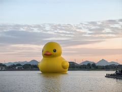 -深圳人才公园