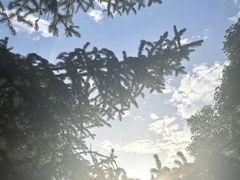 -九寨沟-树正沟