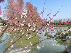 -上海海湾国家森林公园