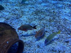 -海合安武汉极地海洋公园