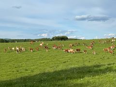 -塞罕坝国家级自然保护区