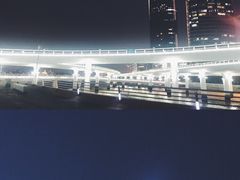 -演武大桥观景平台