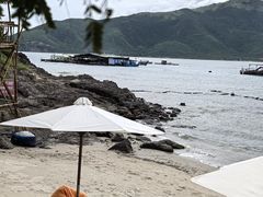 -珊瑚岛