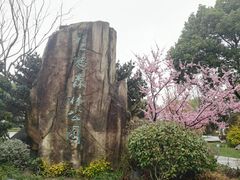 -昆山城市生态森林公园