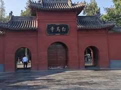 -洛阳白马寺