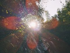 -藏龙百瀑风景区