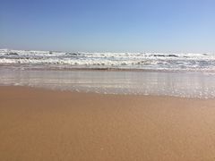 -日照海滨国家森林公园