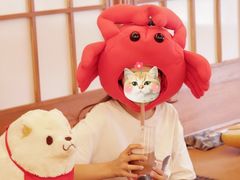 -豆柴町-柴犬主题狗咖(红鼎国际C座店)