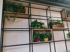 -313羊庄铁锅烀羊肉·烤全羊·烧烤龙虾·团建聚餐(永德路店)