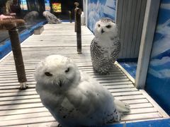 -成都浩海立方海洋公园