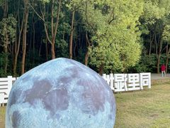 -同里国家湿地公园