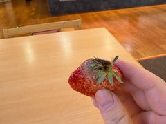 -悠然湯·汗蒸汤泉会馆