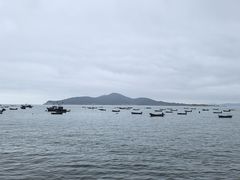 -海源公园