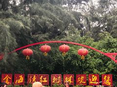 -北海金海湾红树林生态旅游区