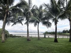 -深圳湾公园(南山区)