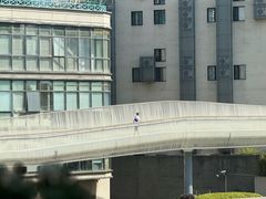 -nodcafe(M50创意园店)