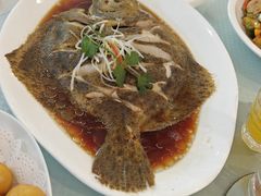 清蒸多宝鱼-双井轩(双井店)
