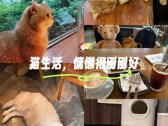 -咖法森林·咖啡  酒吧(天河店)