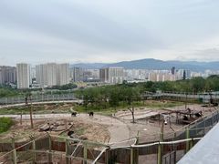 -青藏高原野生动物园