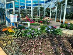 -石家庄市植物园