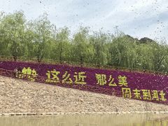 -桑干河大峡谷旅游区