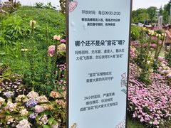 -首开·龙湖成都西宸天街