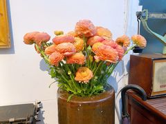 -孟林厨房(798店)