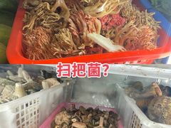 -九溪蒋记菌子宴