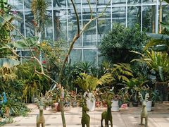 -北京植物园-展览温室
