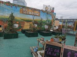 -梦田都市农场(银泰城店)