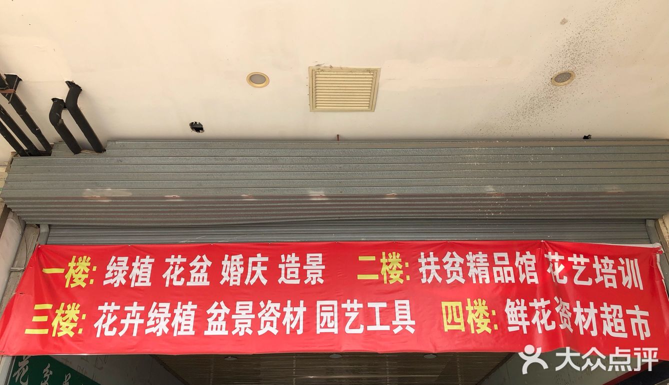 品种也特别全 关键价格超级美丽而且一扎数量也不少