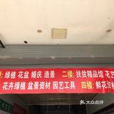 品种也特别全 关键价格超级美丽而且一扎数量也不少