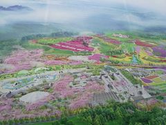 -都江堰玫瑰花溪谷