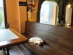 -猫岛主趣味餐厅(鼓浪屿店)
