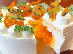 -聚福SHANGHAILANDER(乌鲁木齐南路店)