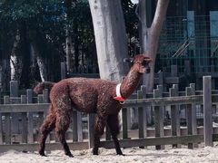 -南昌动物园