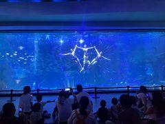 -海合安成都极地海洋公园
