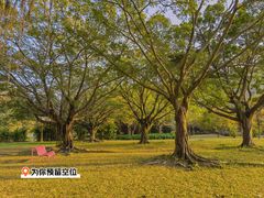 -南沙蒲洲花园