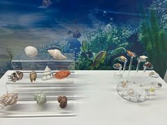 -贝壳王国博物馆
