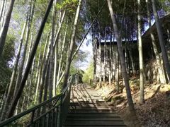 -众神白水涧景区